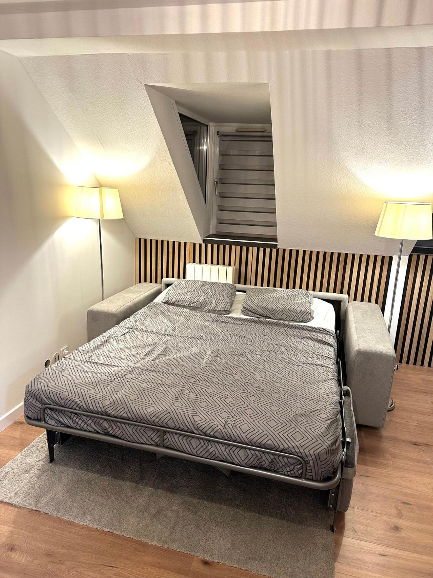 Moderne T2 Centre Sauna Wifi Home Office Netflix Στρασβούργο Εξωτερικό φωτογραφία